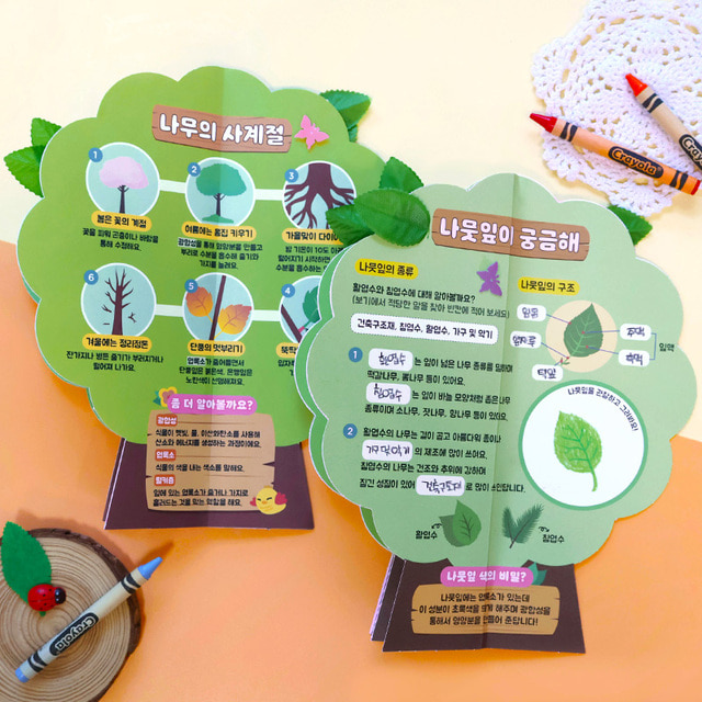 ������ ������ - 5��Ʈ