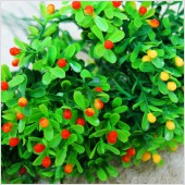 ��ǰ�̹���