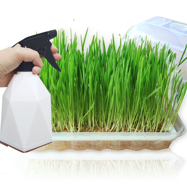 ����Ű��� ������輼Ʈ ��뷮(8��) - 1��Ʈ