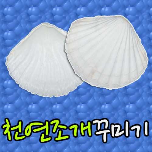 ٹ̱ - 10Ʈ
