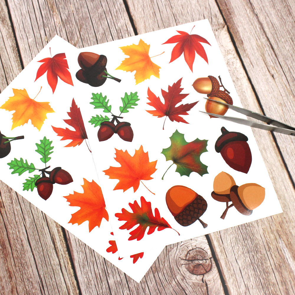 ٹ̱⽺ƼĿ(丮&) - 1